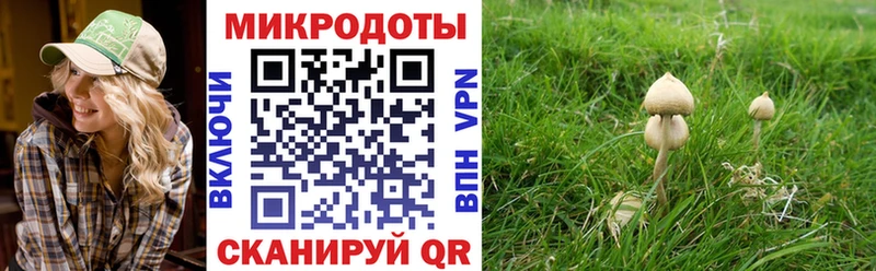 Псилоцибиновые грибы мицелий наркота Черноголовка